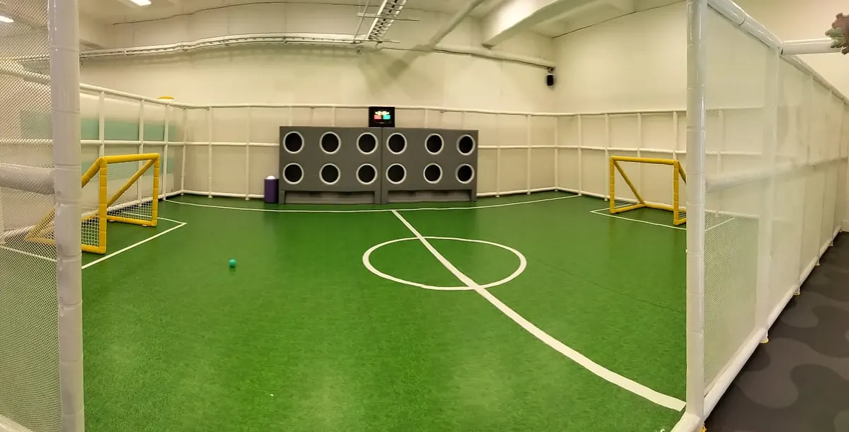 Cancha de futbol en Peppymon San Luis Potosí